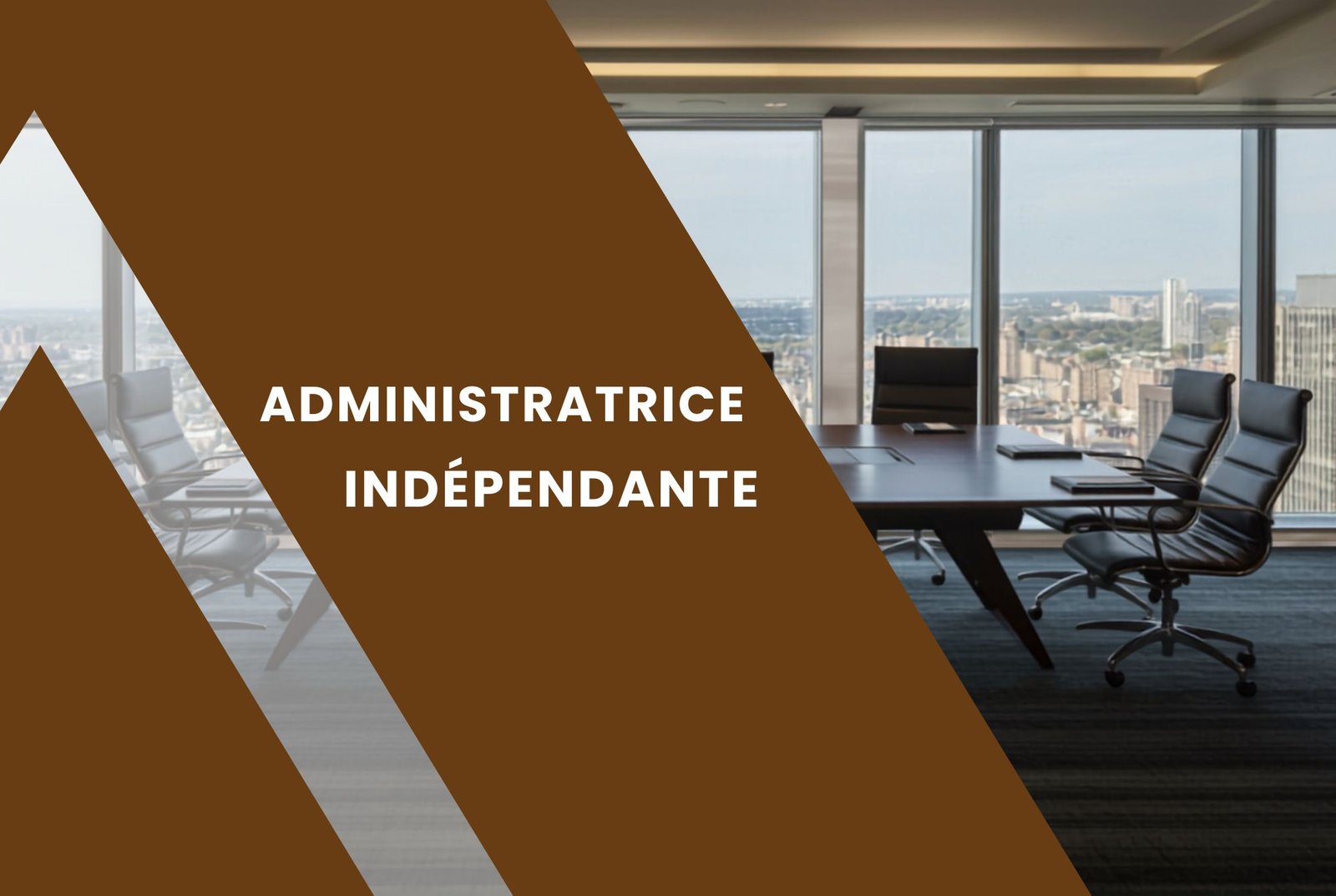 Administratrice indépendante pau 64 Aquitaine